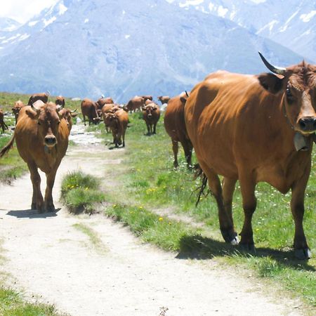 Aux Portes Du Parc National De La Vanoise Appartement Termignon Val Cenis Avec Wifi Ngoại thất bức ảnh
