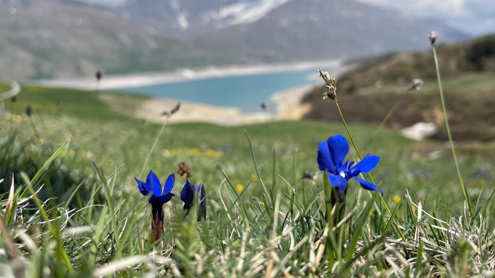 Aux Portes Du Parc National De La Vanoise Appartement Termignon Val Cenis Avec Wifi Ngoại thất bức ảnh